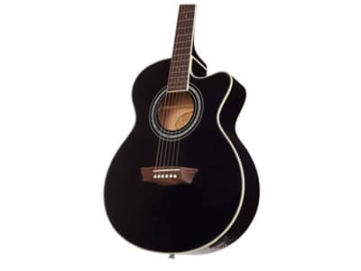 Washburn EA12B